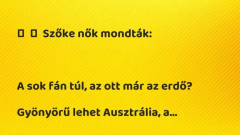 Vicc: 
	    	    Szőke nők mondták:





A sok fán túl, az ott már az…