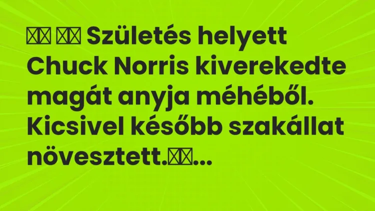 Vicc: Születés helyett Chuck Norris kiverekedte magát anyja…