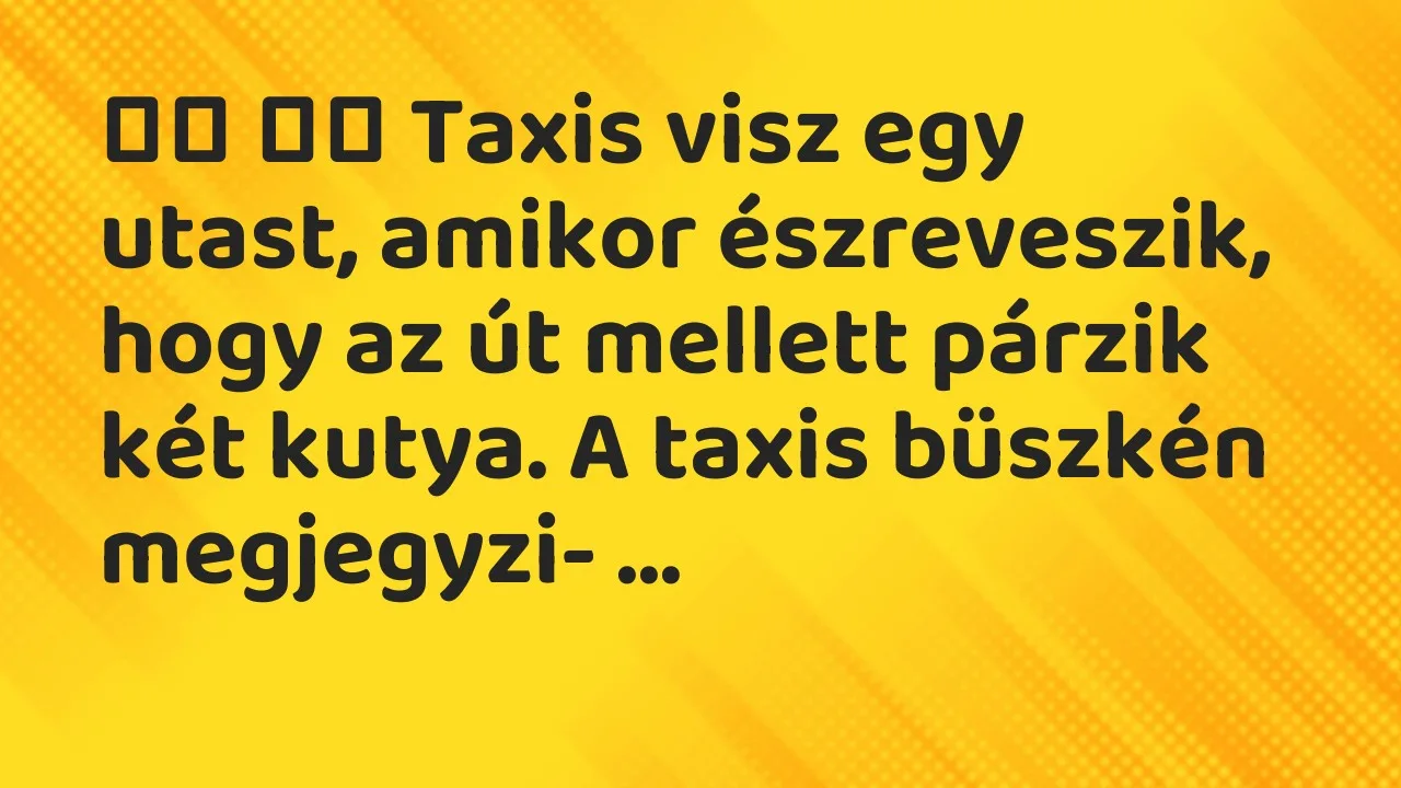 Vicc: 
		  
		  Taxis visz egy utast, amikor észreveszik, hogy az út…