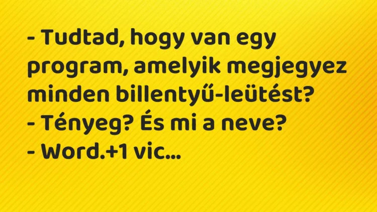 Vicc: – Tudtad, hogy van egy program, amelyik megjegyez minden…