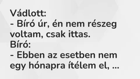 Vicc: Vádlott:

– Bíró úr, én nem részeg voltam, csak ittas.

Bíró:

-…