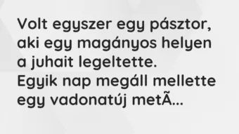 Vicc: Volt egyszer egy pásztor, aki egy magányos helyen a juhait…
