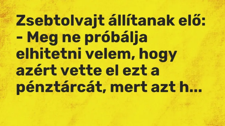 Vicc: Zsebtolvajt állítanak elő: – Meg ne próbálja elhitetni velem, hogy azért…
