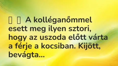 Vicces történet: 
	    	    A kolléganőmmel esett meg ilyen sztori, hogy az uszoda előtt várta a …