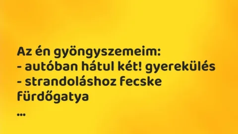 Vicces történet: 
	    	    


Az én gyöngyszemeim:


– autóban hátul két!…