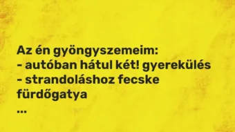 Vicces történet: Az én gyöngyszemeim: – autóban hátul két!…