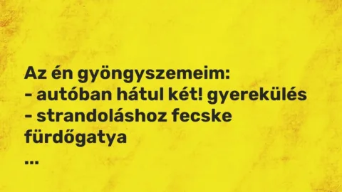 Vicces történet: 
	    	    


Az én gyöngyszemeim:


– autóban hátul két!…