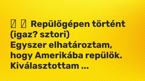 Vicces történet: 
	    	    Repülőgépen történt (igaz? sztori)


Egyszer elhatároztam, hogy …
