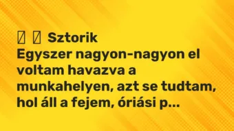 Vicces történet: Sztorik Egyszer nagyon-nagyon el voltam havazva a munkahelyen,…