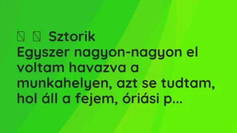 Vicces történet: 
	    	    Sztorik


Egyszer nagyon-nagyon el voltam havazva a munkahelyen,…