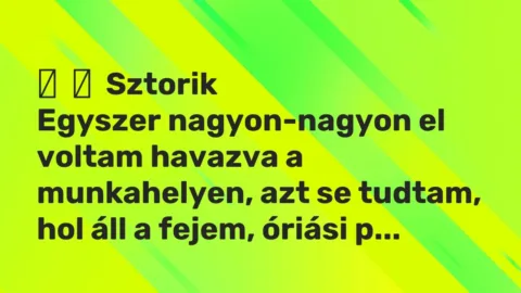 Vicces történet: 
	    	    Sztorik


Egyszer nagyon-nagyon el voltam havazva a munkahelyen,…