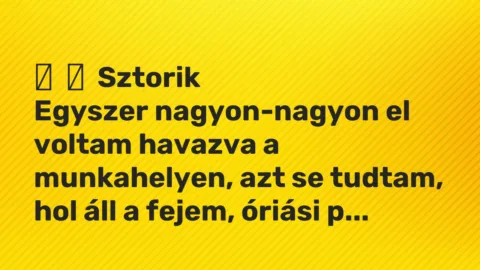Vicces történet: 
	    	    Sztorik


Egyszer nagyon-nagyon el voltam havazva a munkahelyen,…