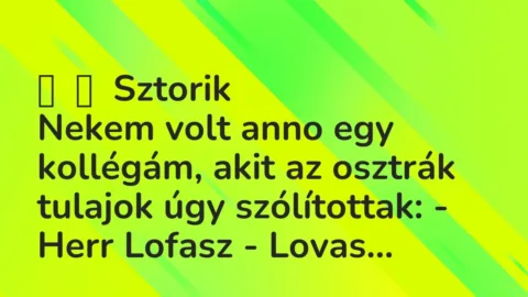 Vicces történet: 
	    	    Sztorik


Nekem volt anno egy kollégám, akit az osztrák tulajok …