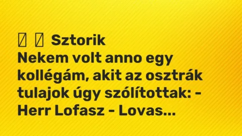 Vicces történet: 
	    	    Sztorik


Nekem volt anno egy kollégám, akit az osztrák tulajok …