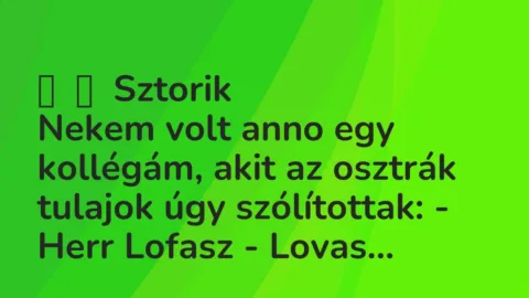 Vicces történet: 
	    	    Sztorik


Nekem volt anno egy kollégám, akit az osztrák tulajok …