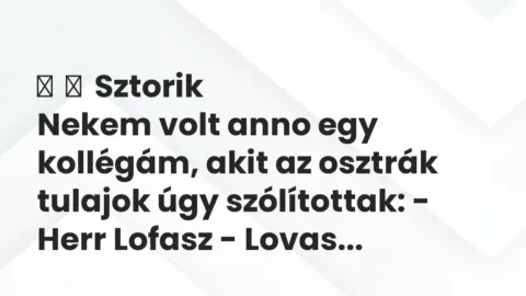 Vicces történet: 
	    	    Sztorik


Nekem volt anno egy kollégám, akit az osztrák tulajok …