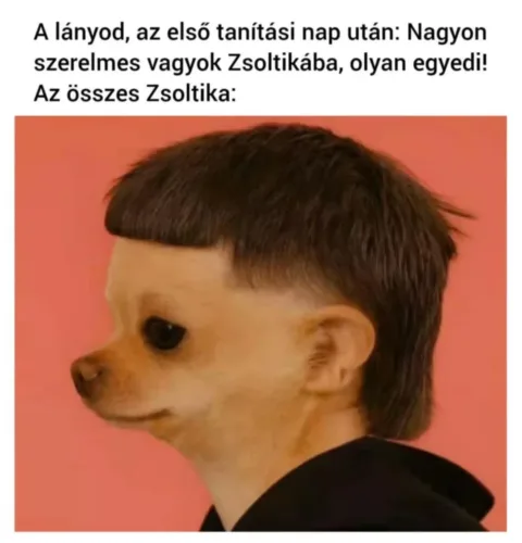 A lányod, az első tanítási nap után...