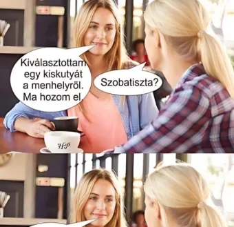 Vicc: Kiválasztottam egy kiskutyát…