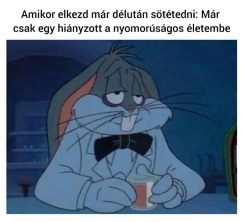 #VK1757086744