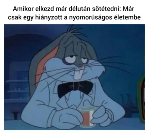 Amikor elkezd már délután sötétedni: Már csak egy hiányzott a nyomorúságos életembe