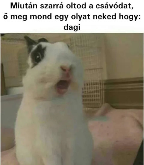 #VK1757519112