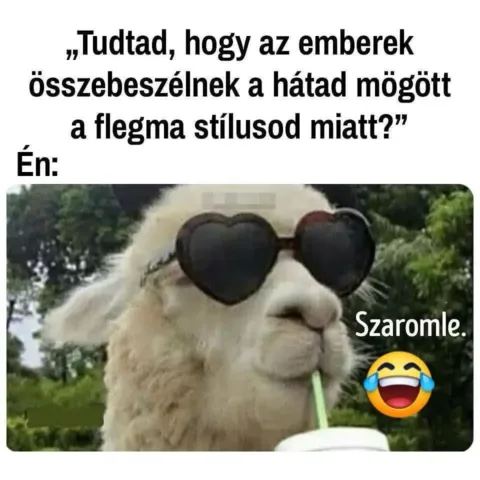 #VK1757755085