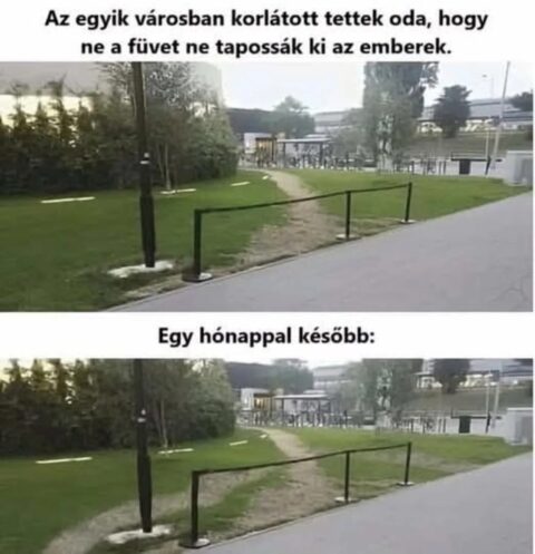 #VK1758036604