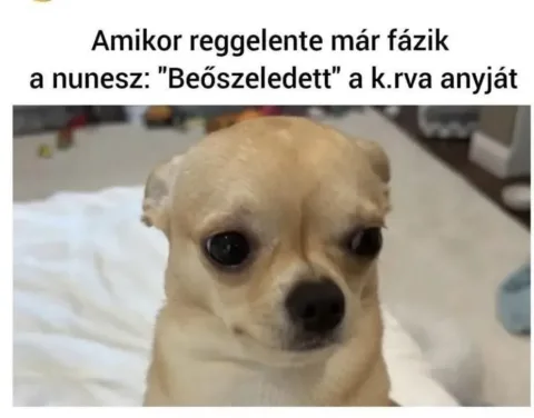 #VK1758555369