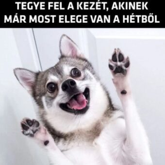 #VK1758683703