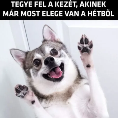 #VK1758683703
