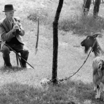 1955.  Pálházi János furulyafaragó népművész Nici névre hallgató kecskéjének fur… #RK1758034804