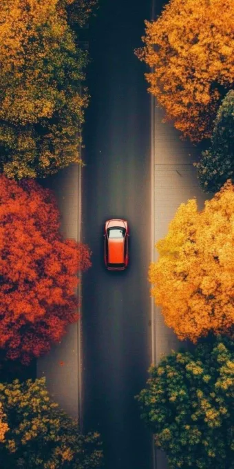 „Az ősz érdekes évszak, még az élet metaforájában is, a hanyatlás, a veszteség i… #I1758489277