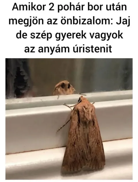 #VK1756659665