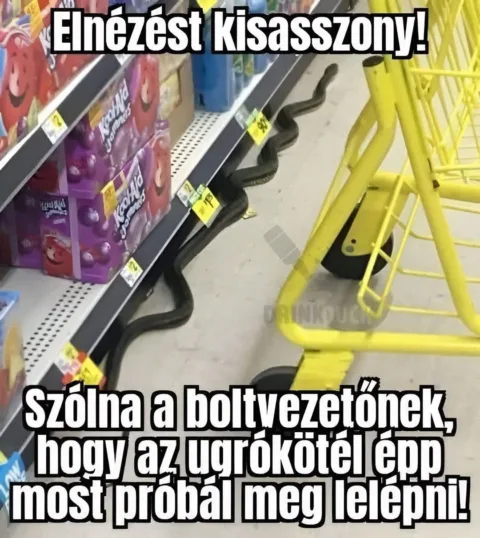 #VK1756680771