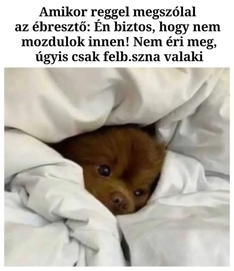 #VK1756711980