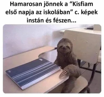 #VK1756727436