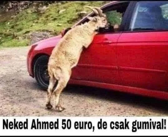 #VK1756792850 #VK1756792850