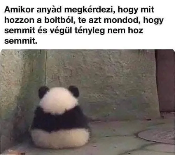 #VK1756797937 #VK1756797937