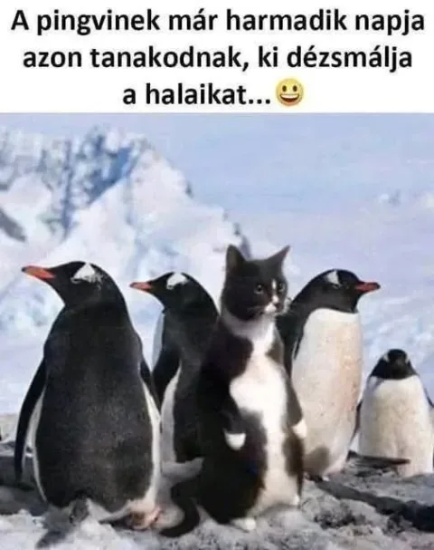 #VK1756842570