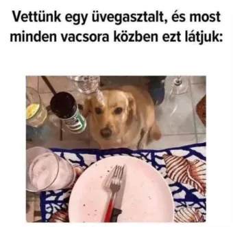 #VK1756941745