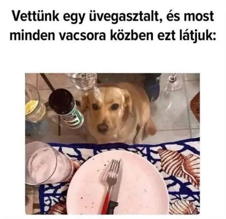 #VK1756941745