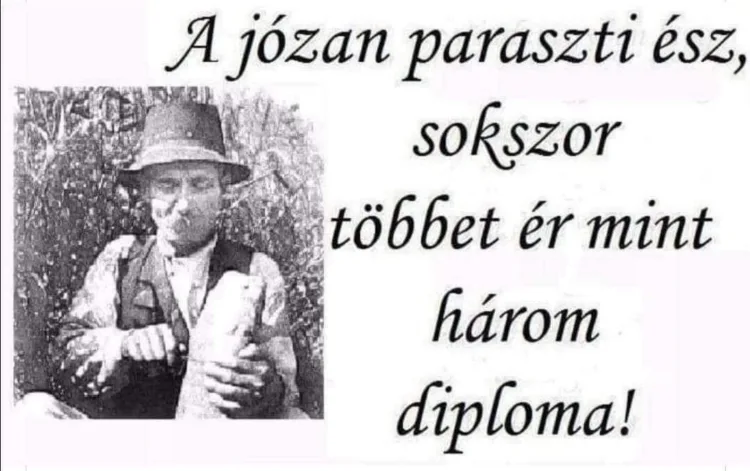 #VK1756971030