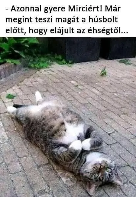 #VK1756972863