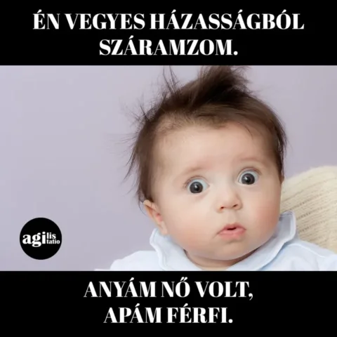 #VK1757401240