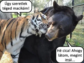 #VK1757403101