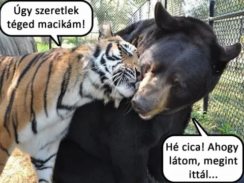 #VK1757403101