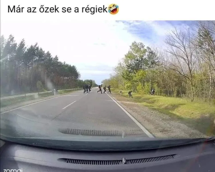 #VK1757450968