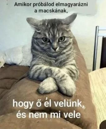 #VK1757574050