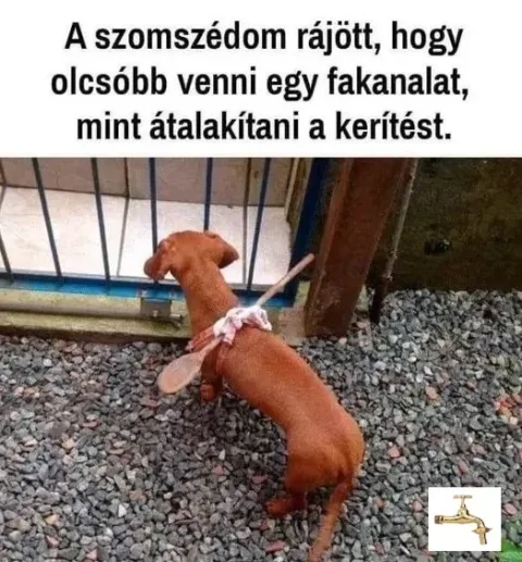 #VK1757619014