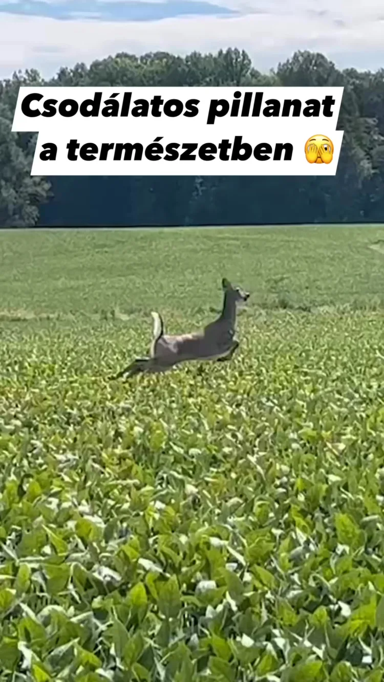 #VK1757633478 #VK1757633478